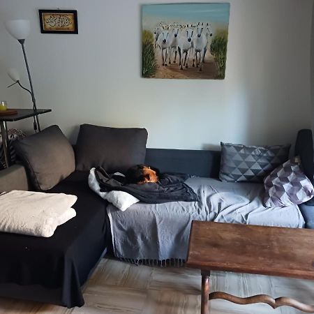 Rez-De-Jardin Grand Studio Lejlighed Cros de Cagnes Eksteriør billede