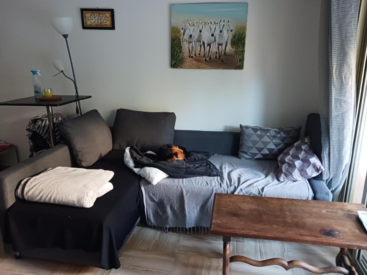 Rez-De-Jardin Grand Studio Lejlighed Cros de Cagnes Eksteriør billede